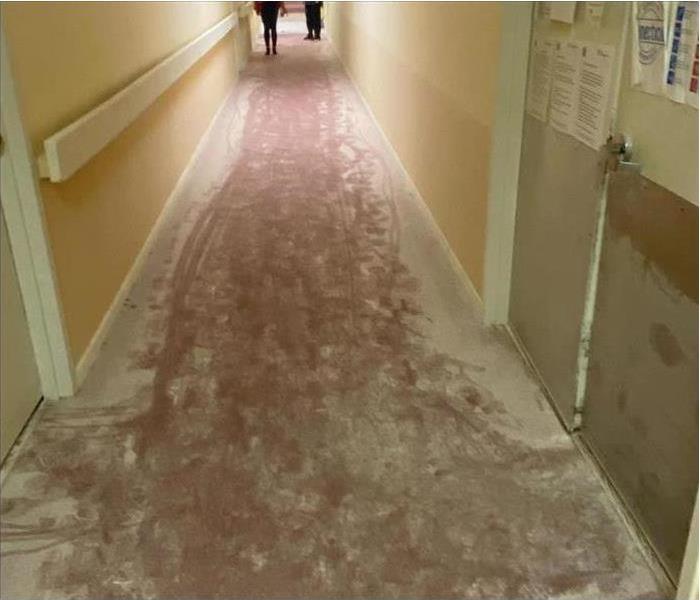 powder on corridor of commercial property, white