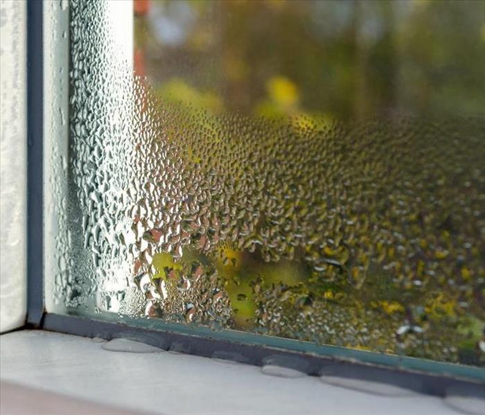 water and moisture on a window seal 