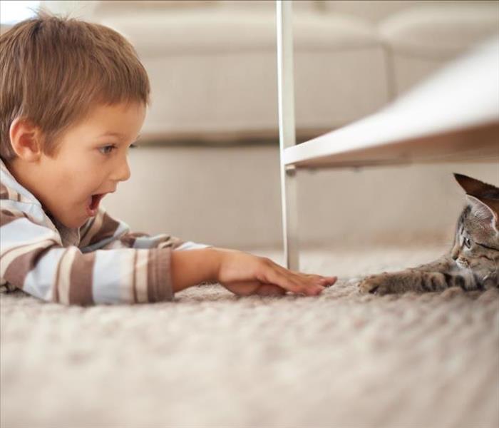 A little boy laying on the carpet with a kitten. 
